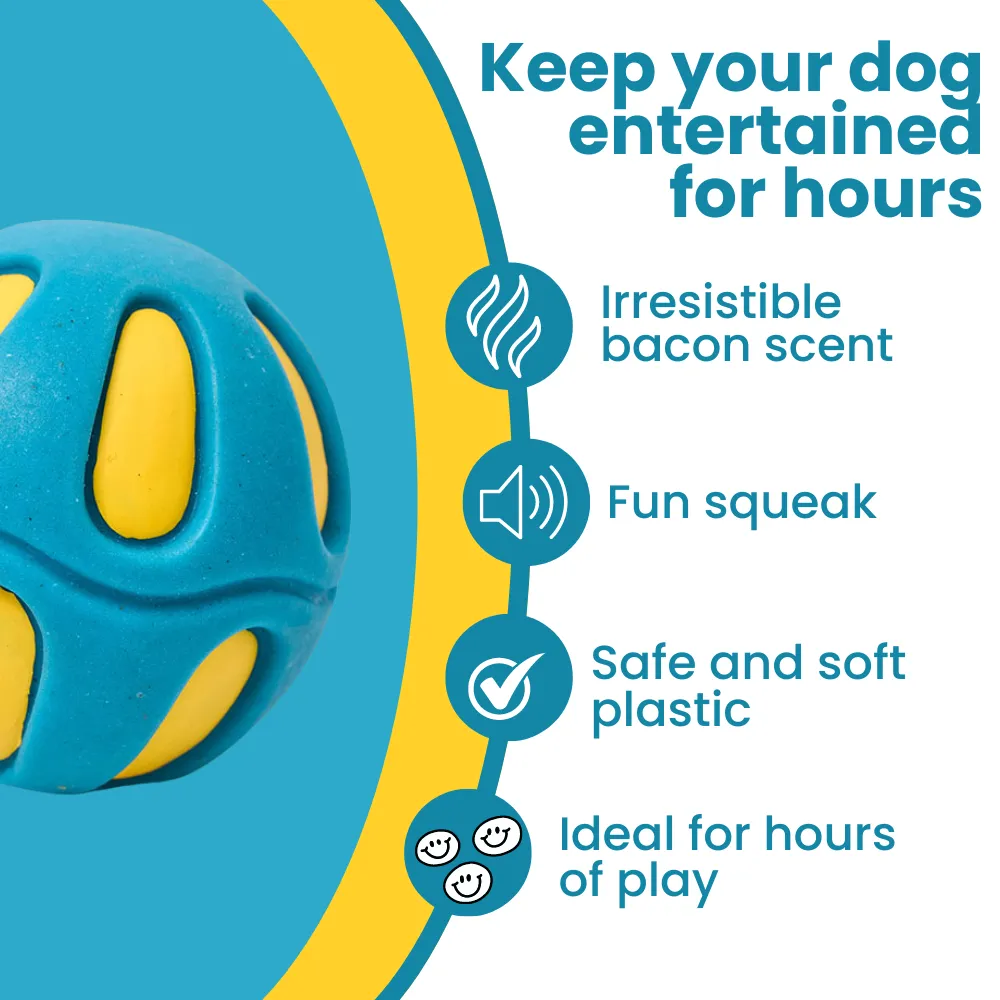 Kanu Pet Soft Blue Solid Ball with Bacon Scent Dog Toy