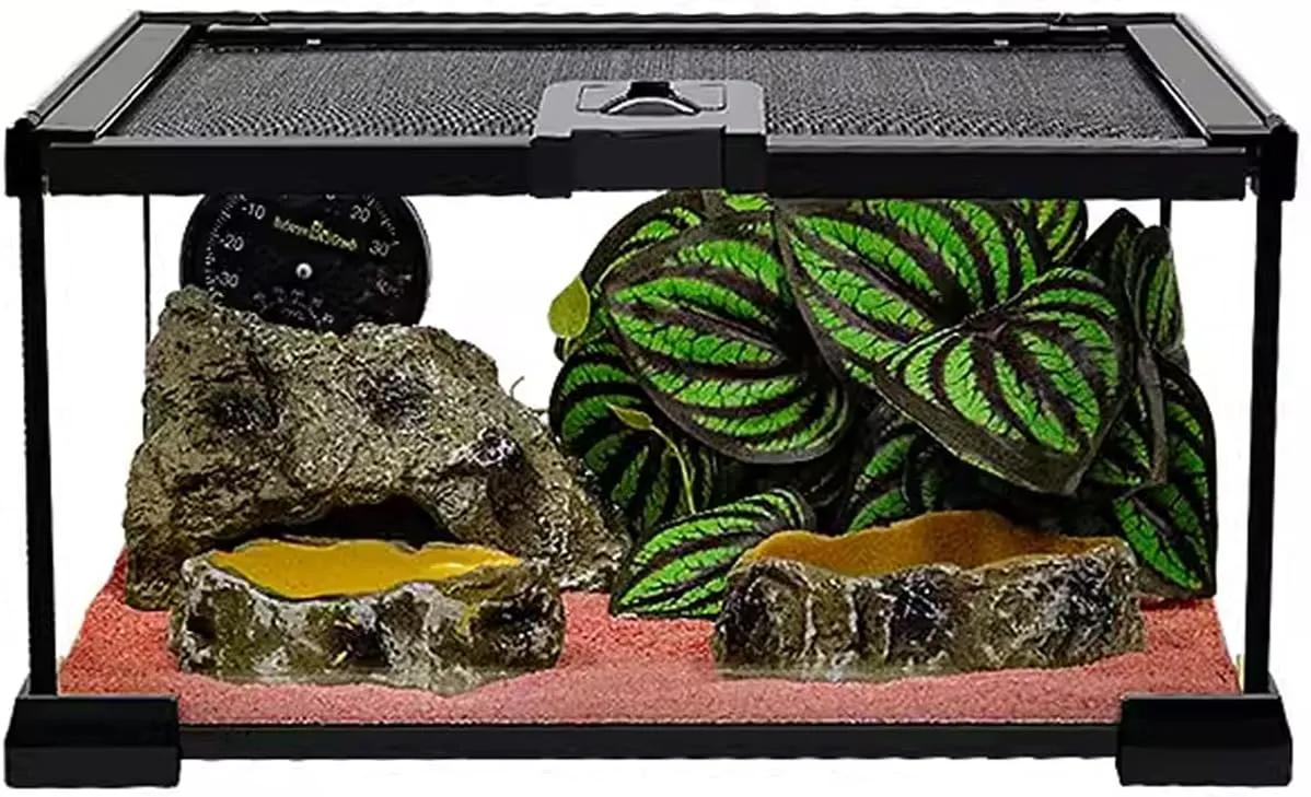kathson Mini Reptile Glass Terrarium Tank 12"x8"x6" Amphibians Habitat Cage Full View Visually Appealing Sliding Screen Top for Bearded Dragons Lizards Geckos Hermit Crab Frog
