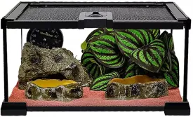 kathson Mini Reptile Glass Terrarium Tank 12"x8"x6" Amphibians Habitat Cage Full View Visually Appealing Sliding Screen Top for Bearded Dragons Lizards Geckos Hermit Crab Frog