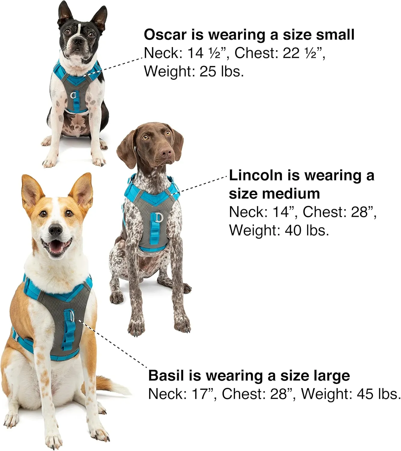 Kurgo Journey Air Dog Harness, Vest Harnesses for Dogs, Pet Hiking Harness for Running & Walking, Reflective, Padded, Includes Control Handle, No Pull Front Clip (Black, X-Large)