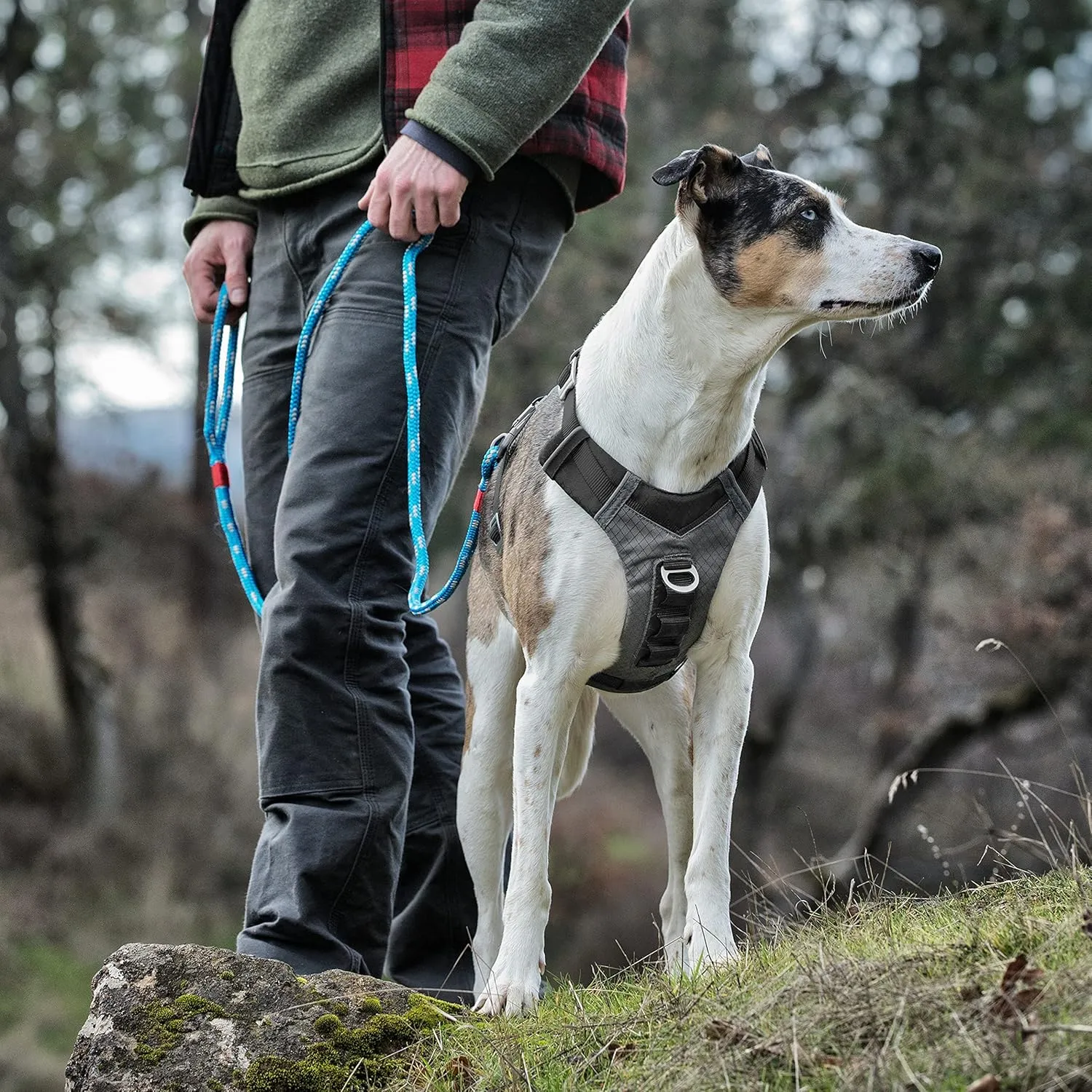 Kurgo Journey Air Dog Harness, Vest Harnesses for Dogs, Pet Hiking Harness for Running & Walking, Reflective, Padded, Includes Control Handle, No Pull Front Clip (Black, X-Large)