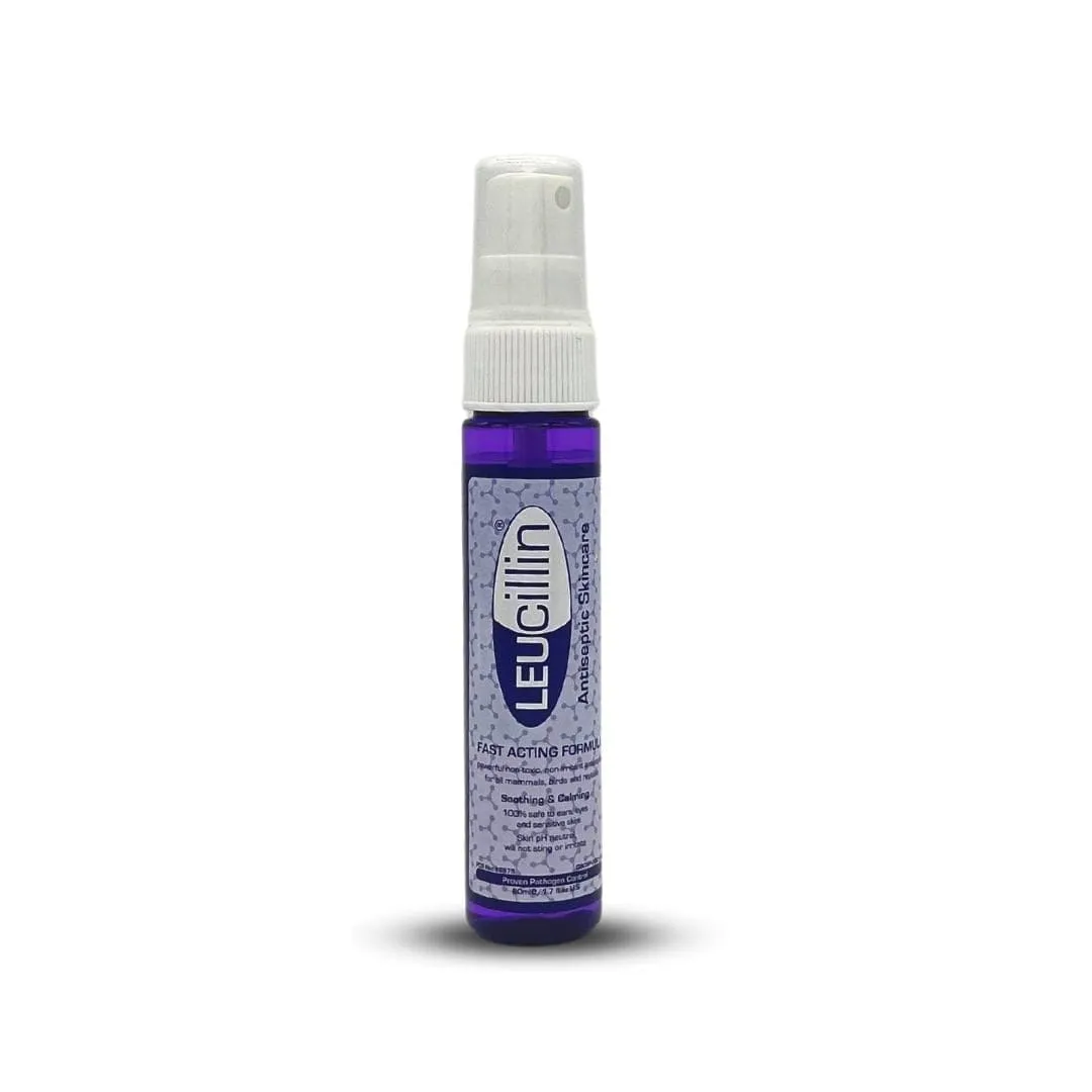 Leucillin antiseptic for cats and dogs