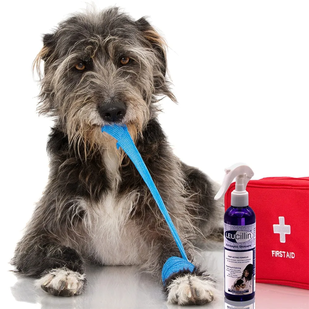 Leucillin antiseptic for cats and dogs
