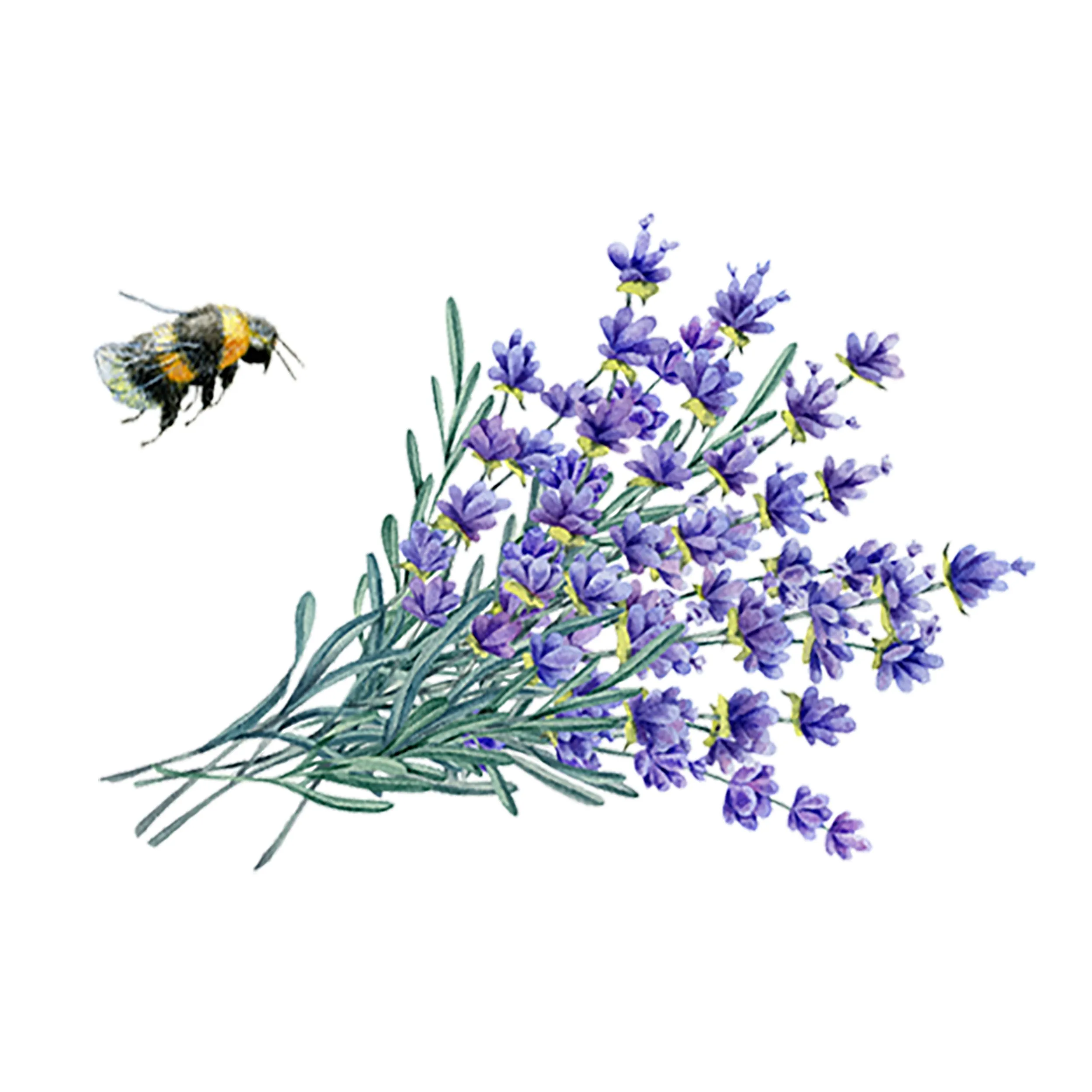 Linen Spray | Lavender