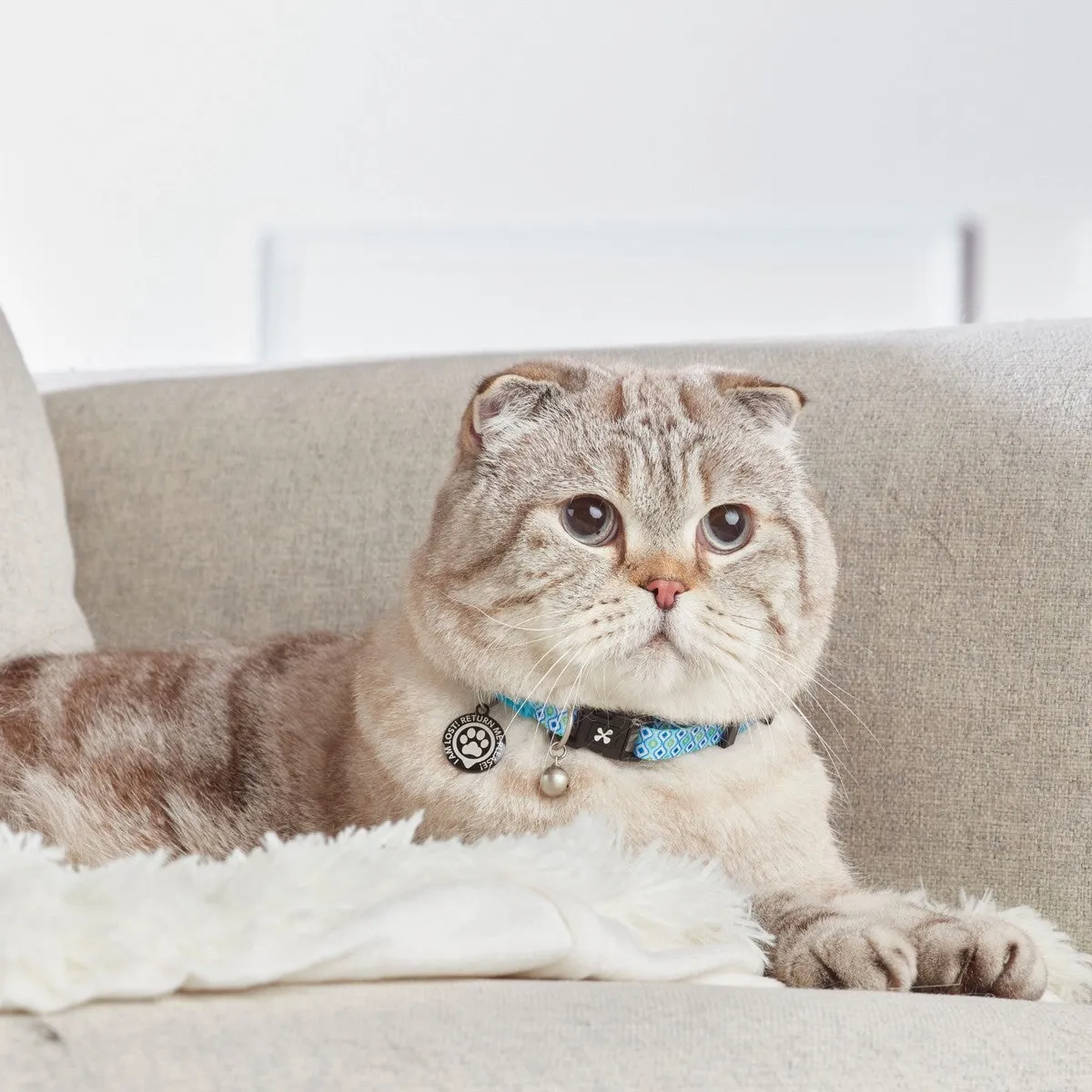 Max&Molly Smart ID Cat Collar Retro Blue