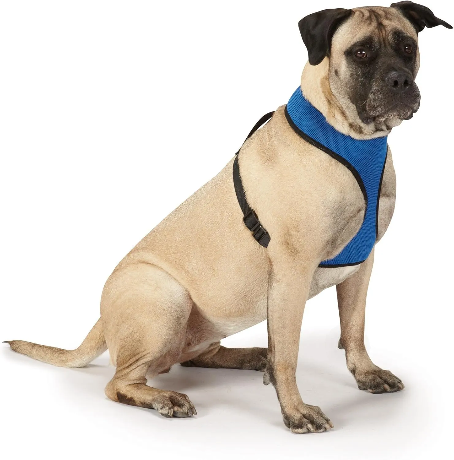 Mesh Dog Harness, X-Small, Blue
