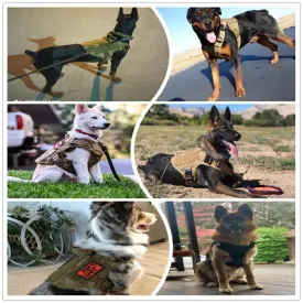 Metal Buckle Tactical Dog Harness