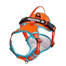 Orange Custom Canine Dog Y Harness | 2TLE