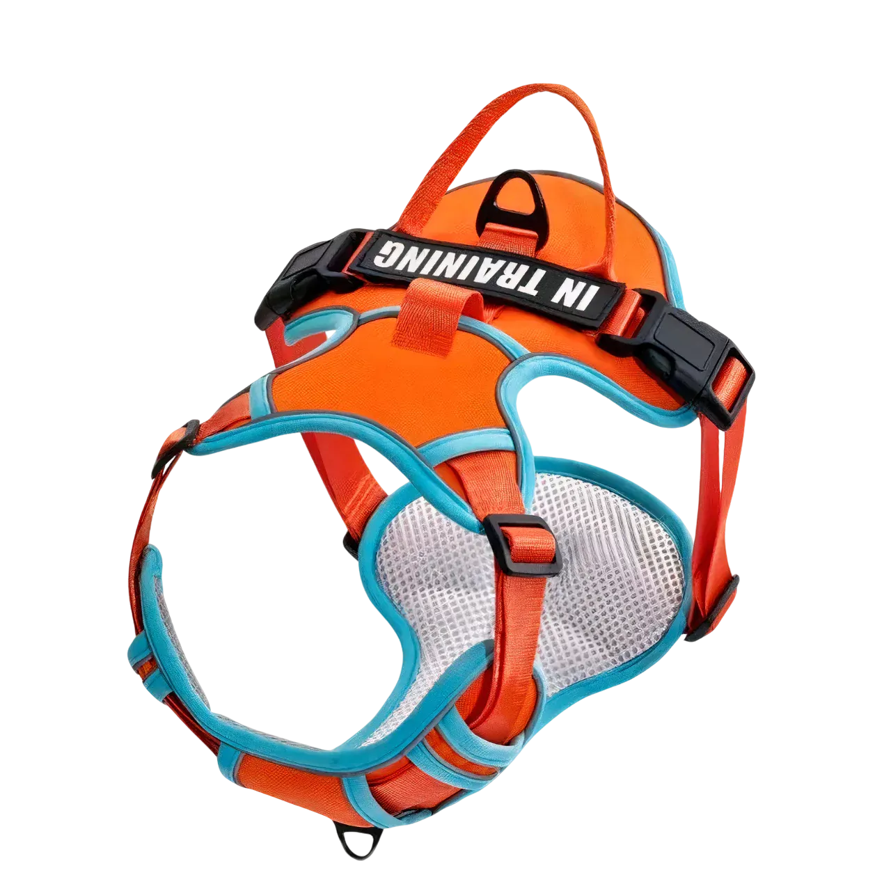 Orange Custom Canine Dog Y Harness | 2TLE