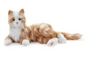 Orange tabby cat robotic companion pet - vat free