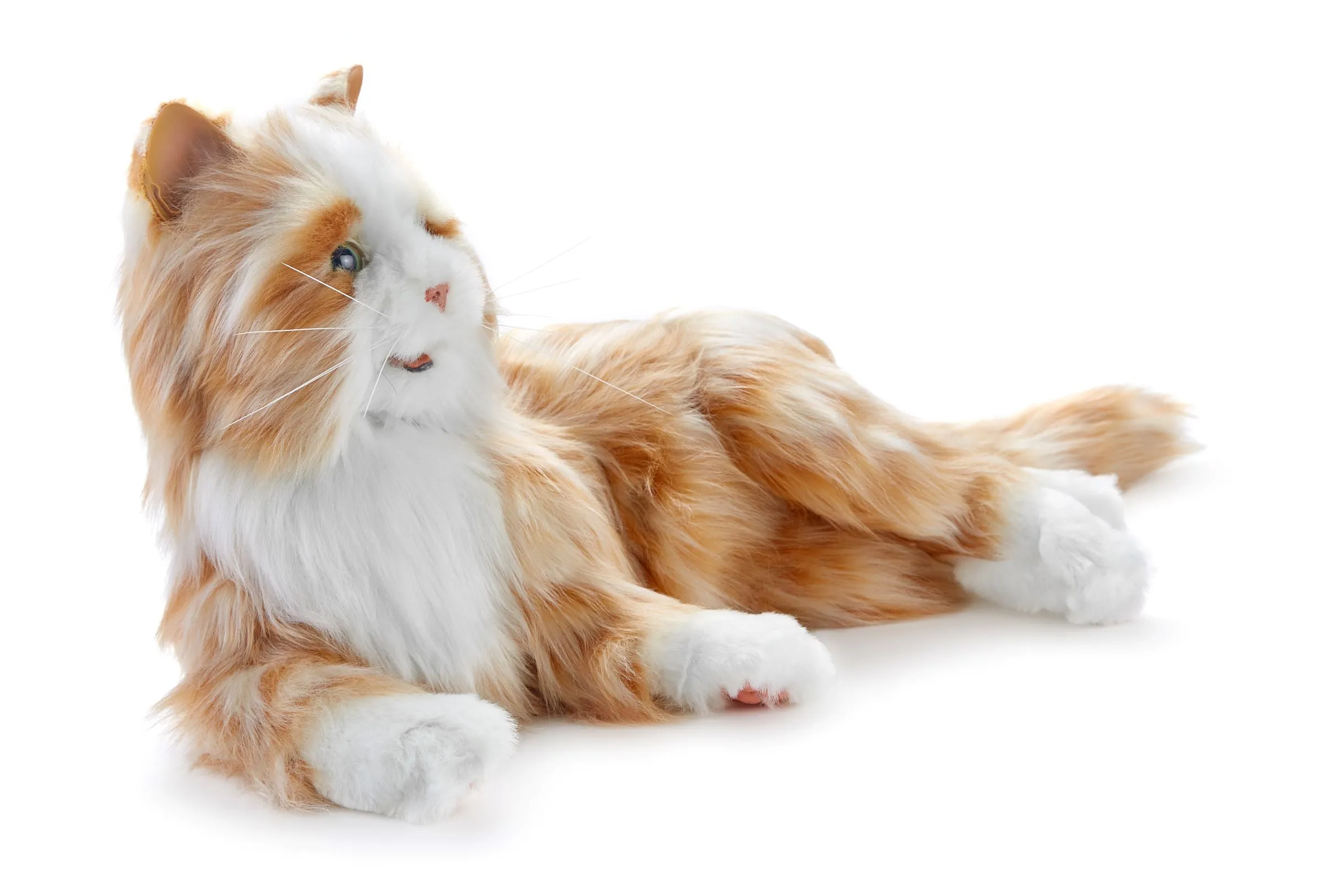 Orange tabby cat robotic companion pet - vat free