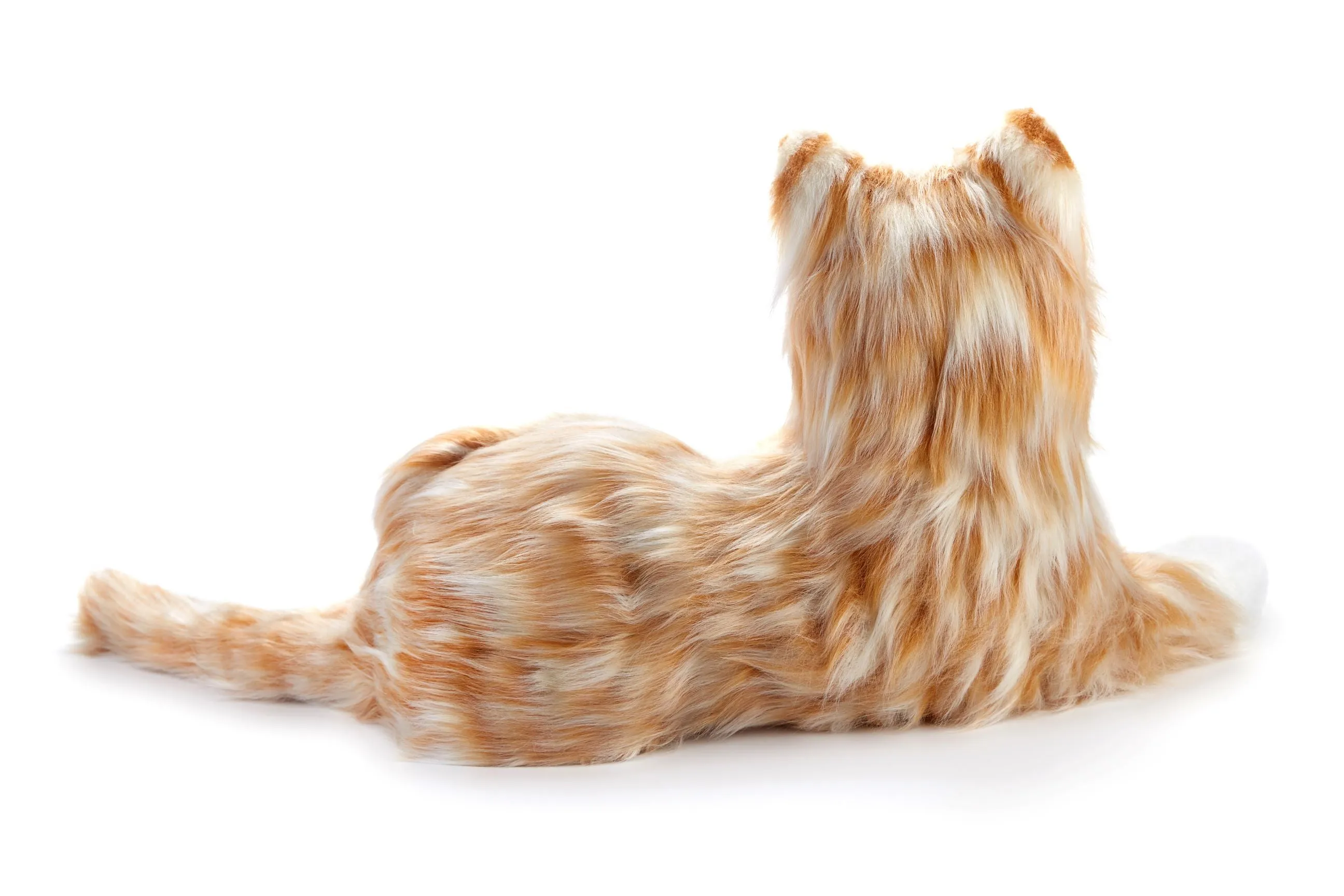 Orange tabby cat robotic companion pet