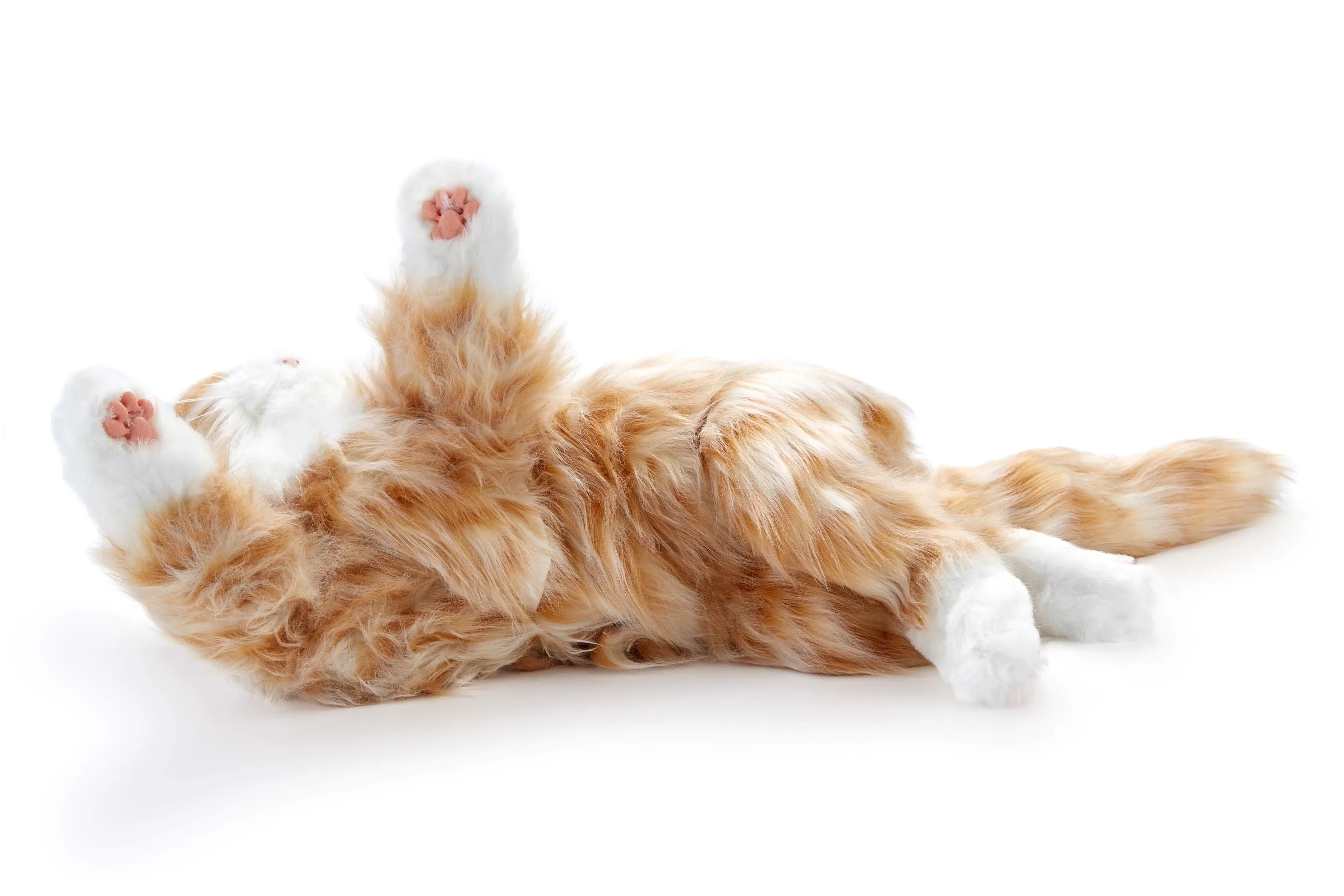 Orange tabby cat robotic companion pet