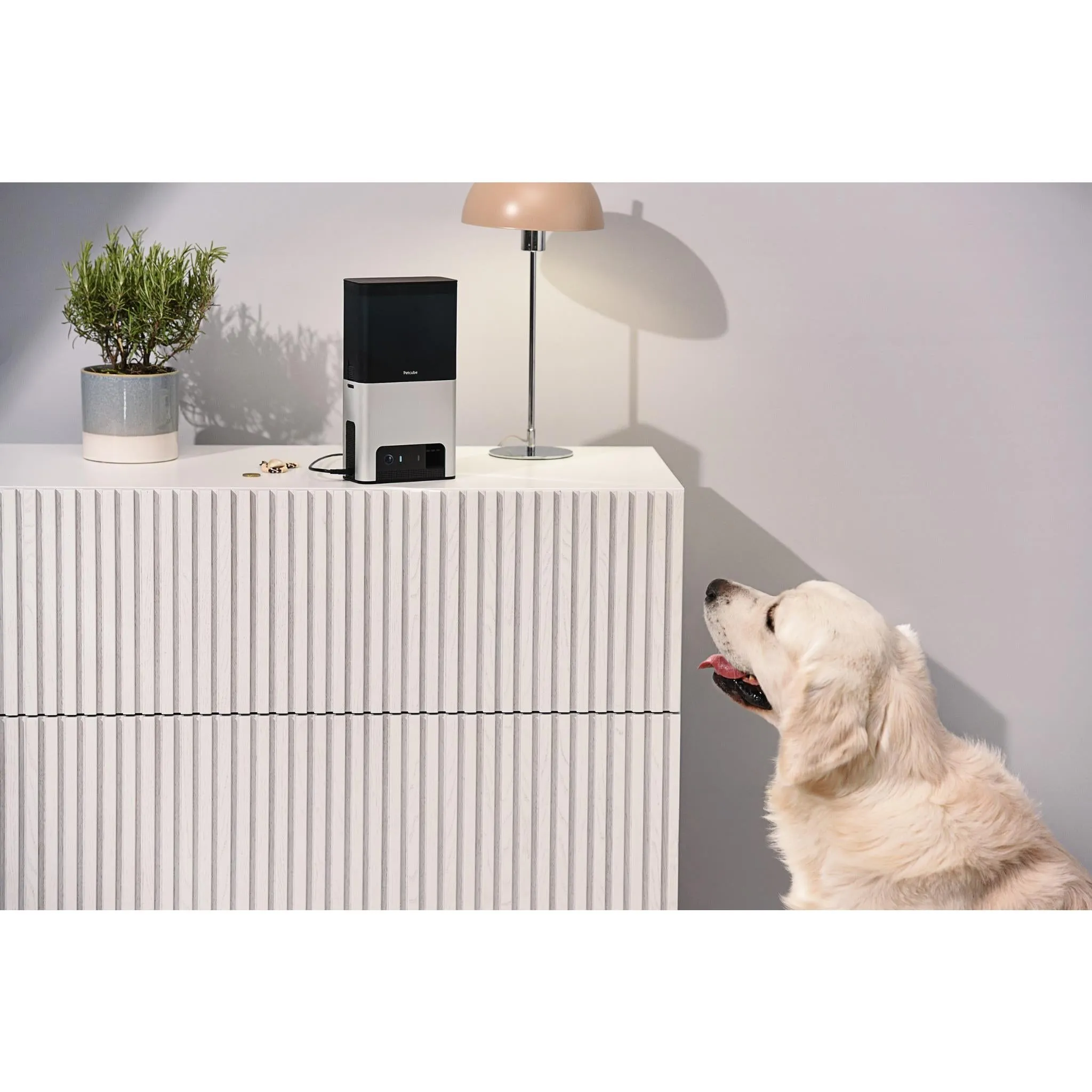 Petcube Bites 2 Interactive Wi-Fi Pet Camera and Treat Dispenser (Silver)