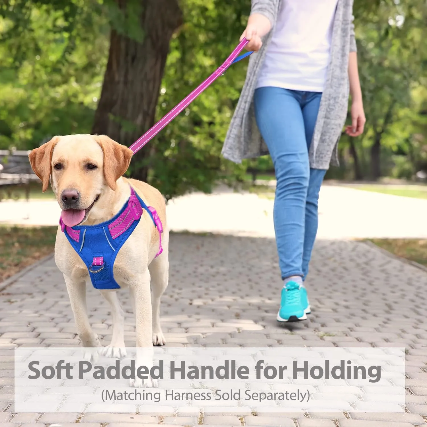 PHOEPET 5 Feet Dog Leash - Dual-Side Reflective - Soft Padded Handle - Fit for Walking, Training or Exploring Hiking, Camping (Pink   Royal Blue Base)
