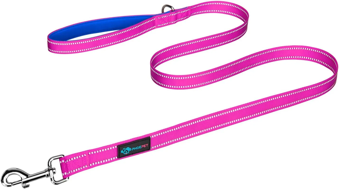 PHOEPET 5 Feet Dog Leash - Dual-Side Reflective - Soft Padded Handle - Fit for Walking, Training or Exploring Hiking, Camping (Pink   Royal Blue Base)