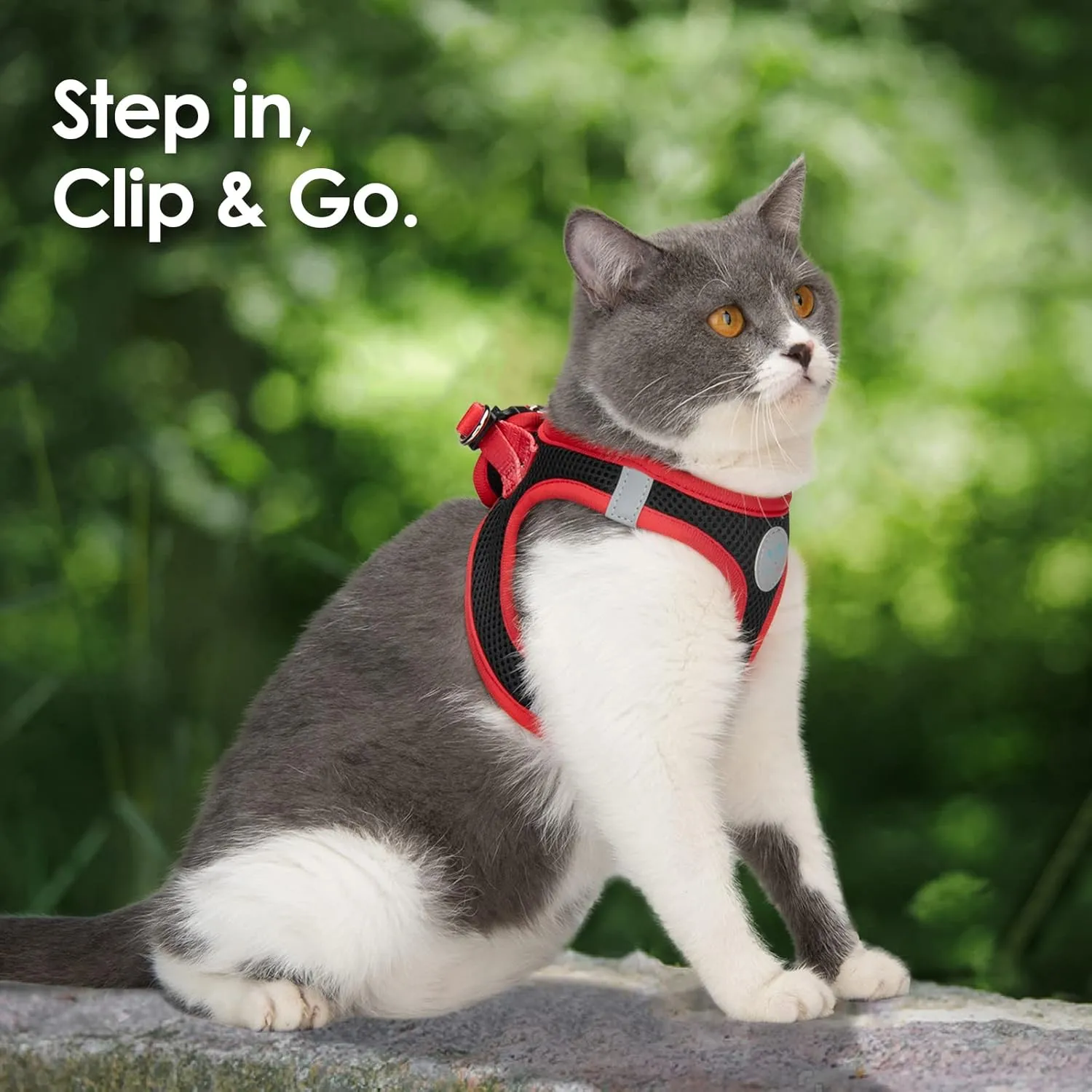 PHOEPET Step-in Dog Harness,Reflective Adjustable Dog Vest Harness, Soft Pet Walking Jacket with 2 Metal Leash Hooks for Dog and Cat(Black Base & Red Straps,M)