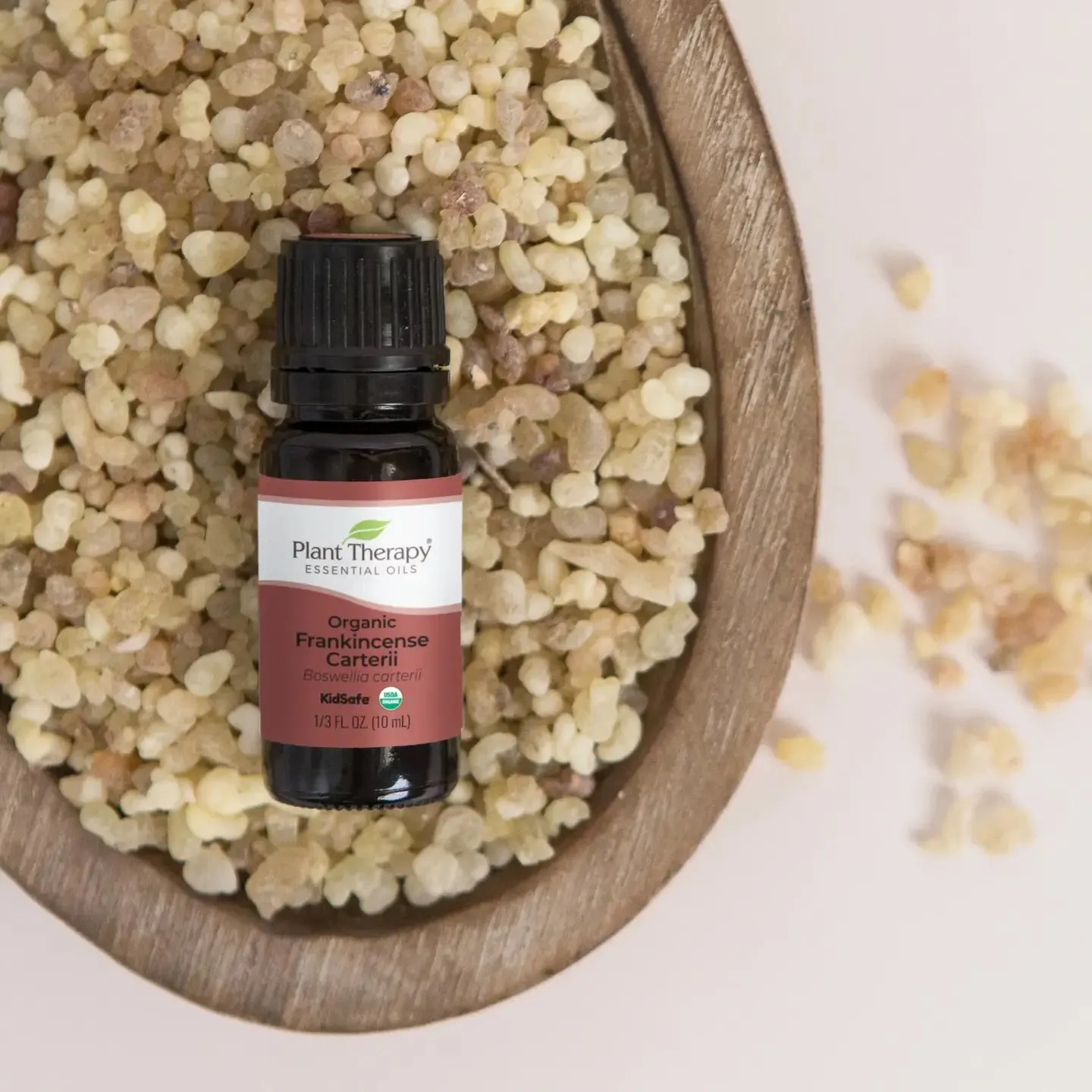Plant Therapy Organic Frankincense Carterii Essential Oil- Safe for Pets