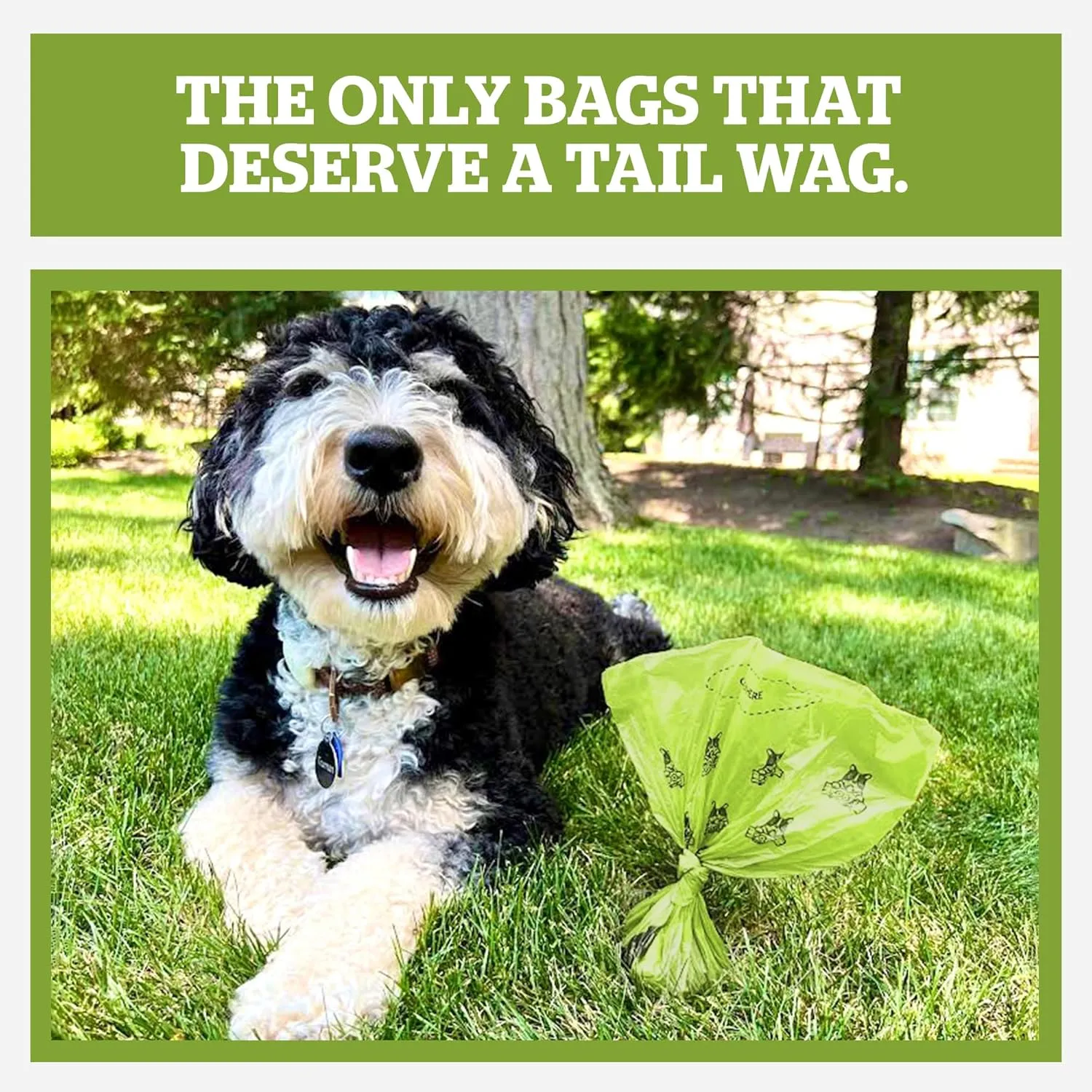 Pogi's Poop Bags  Large, Leak-Proof Dog Waste Bags for Yard or Home Use, Fresh Scent (Single Roll, 500-Count)