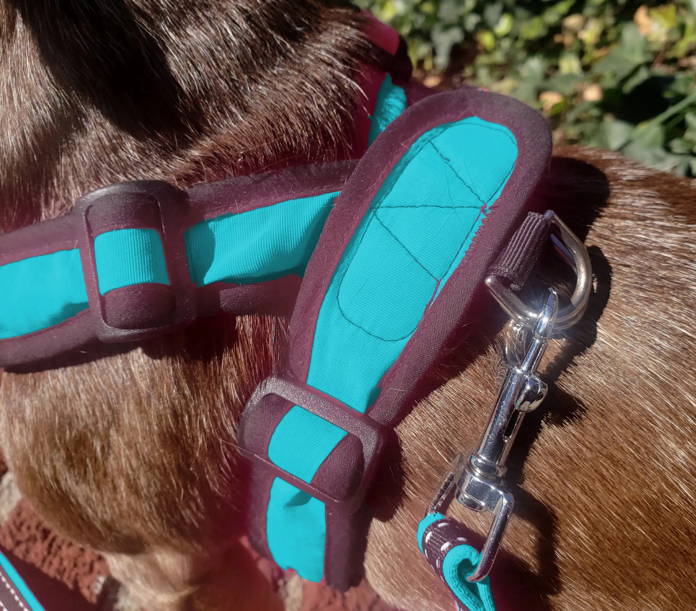 Precision Fit™ 4 Way Step In Dog Harness Adjustable Nylon - 6 LBS to 40 LBS