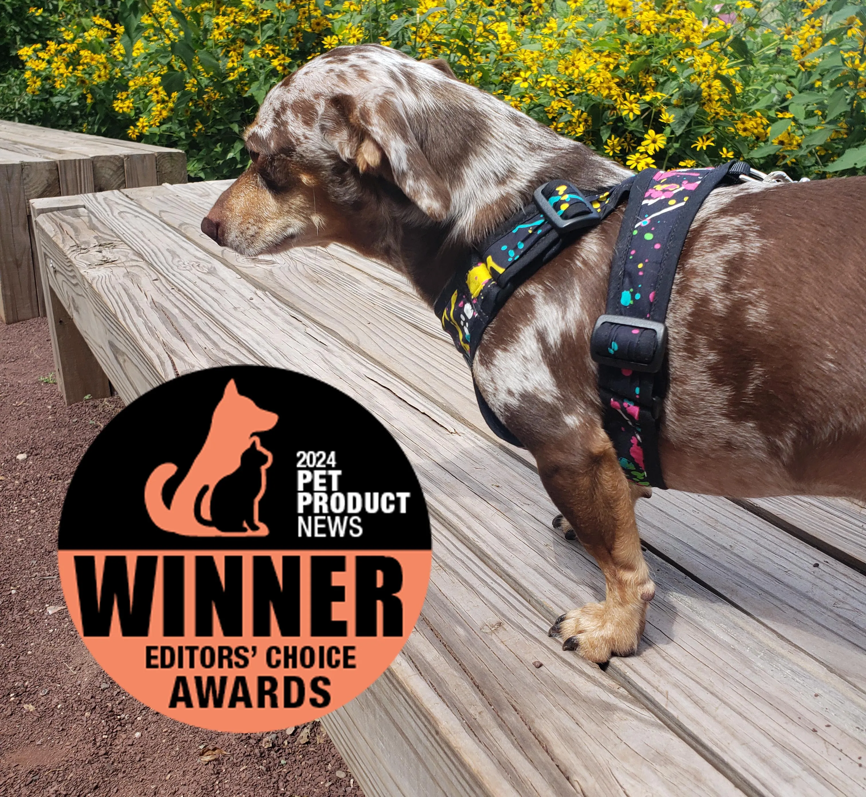 Precision Fit™ 4 Way Step In Dog Harness Adjustable Nylon - 6 LBS to 40 LBS