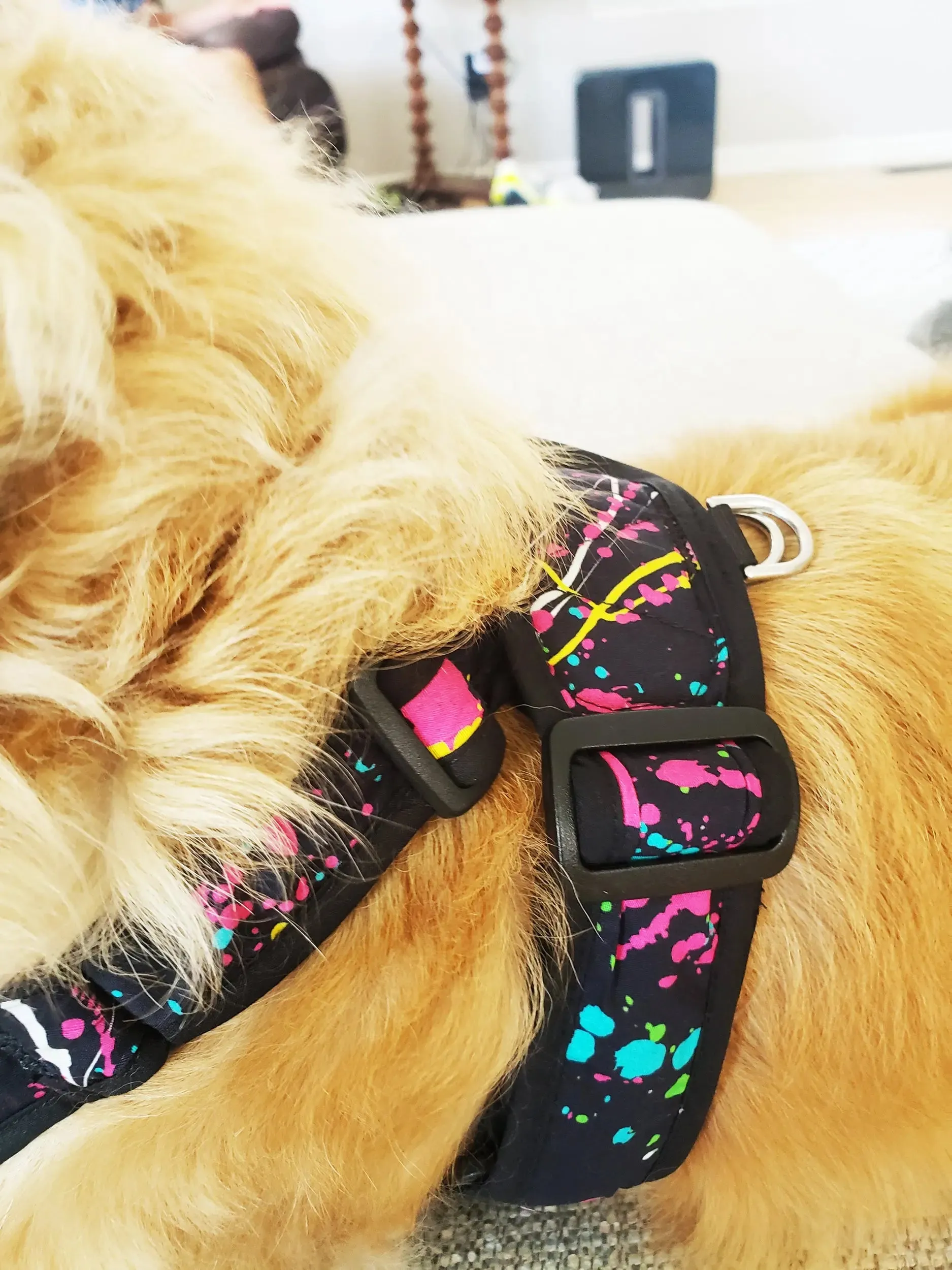 Precision Fit™ 4 Way Step In Dog Harness Adjustable Nylon - 6 LBS to 40 LBS