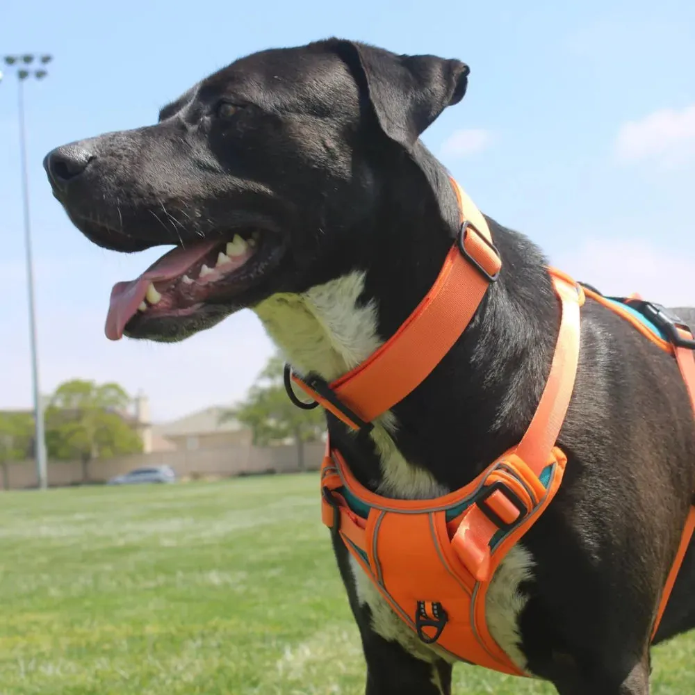 Red Custom Canine Dog Y Harness | 2TLE