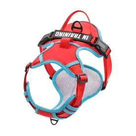 Red Custom Canine Dog Y Harness | 2TLE