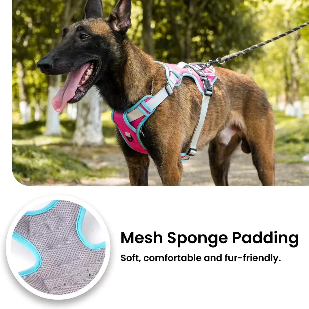 Red Custom Canine Dog Y Harness | 2TLE