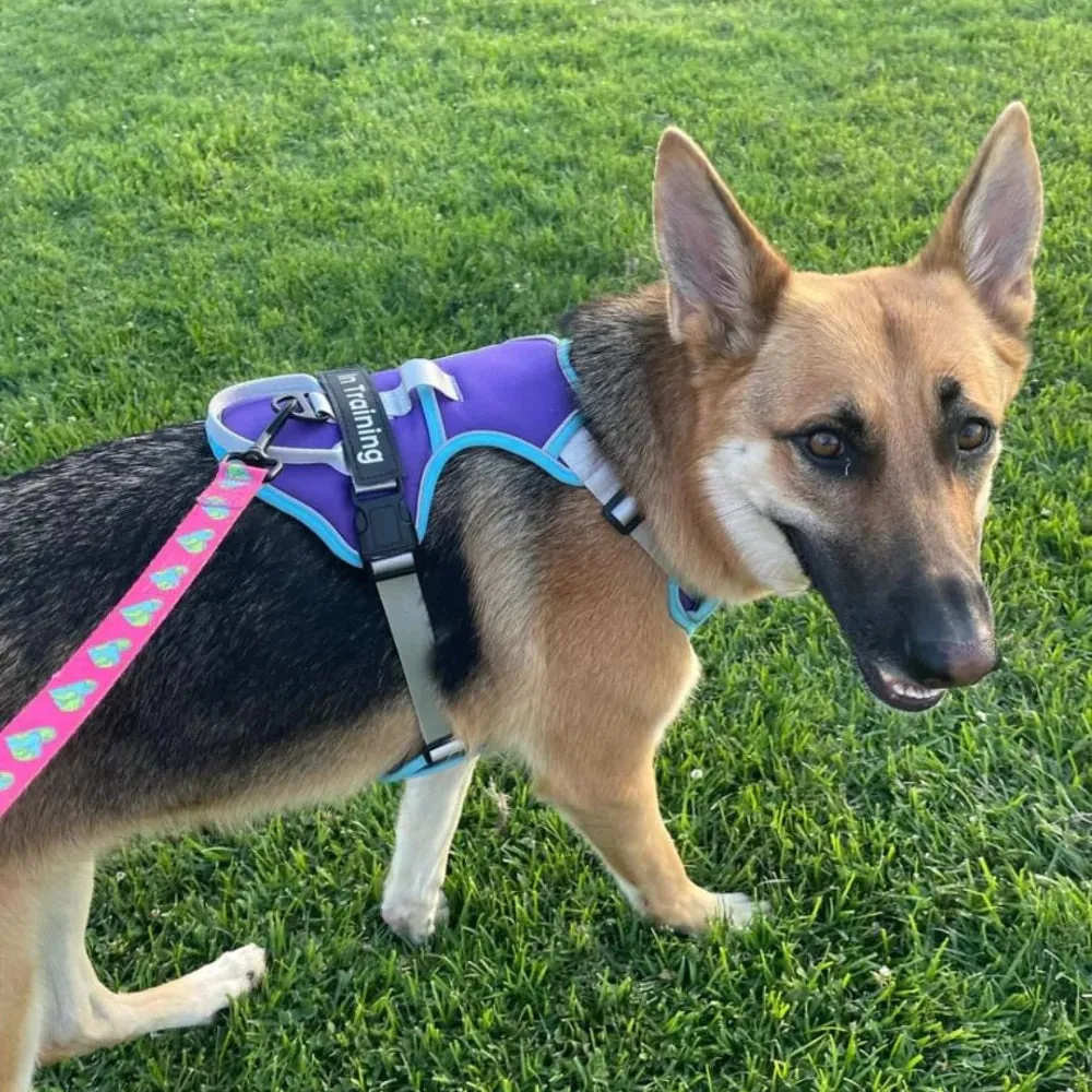 Red Custom Canine Dog Y Harness | 2TLE