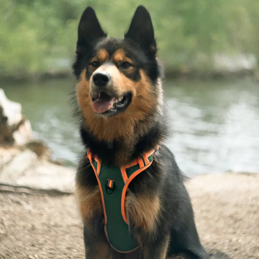 Red Custom Canine Dog Y Harness | 2TLE
