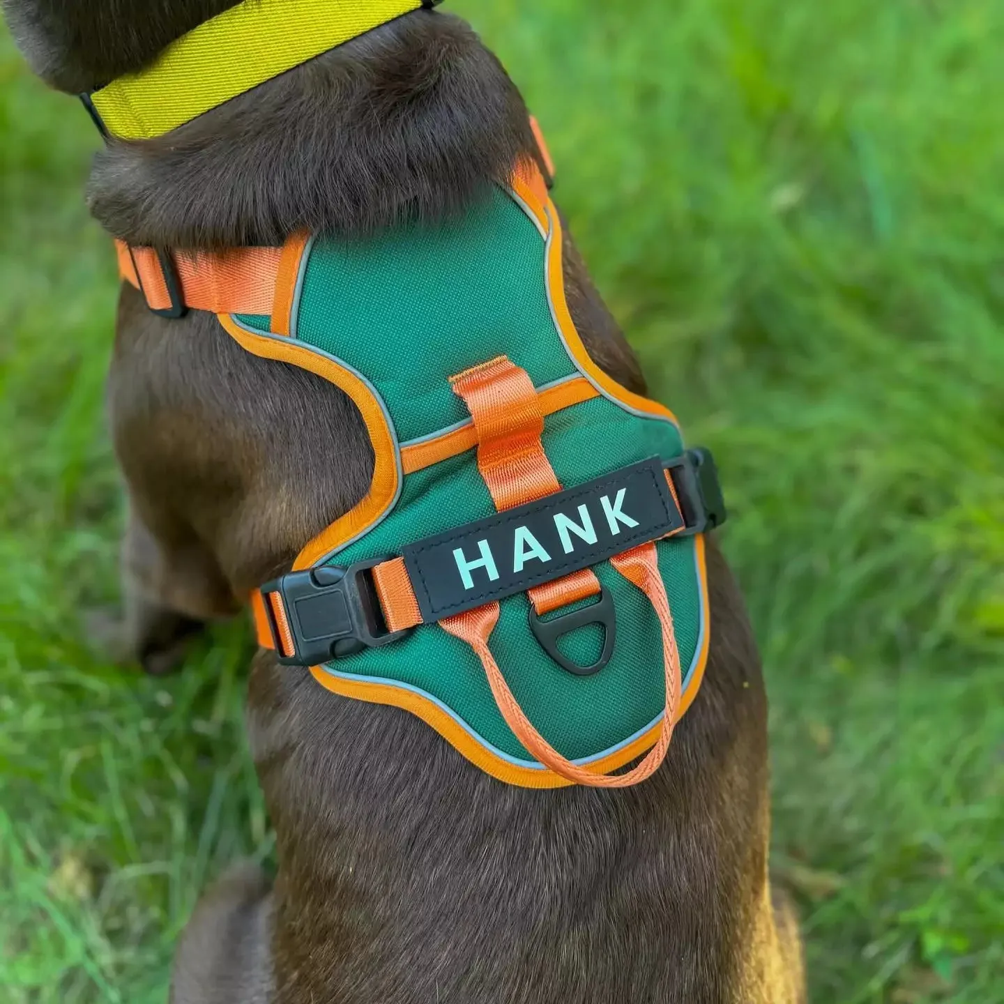 Red Custom Canine Dog Y Harness | 2TLE