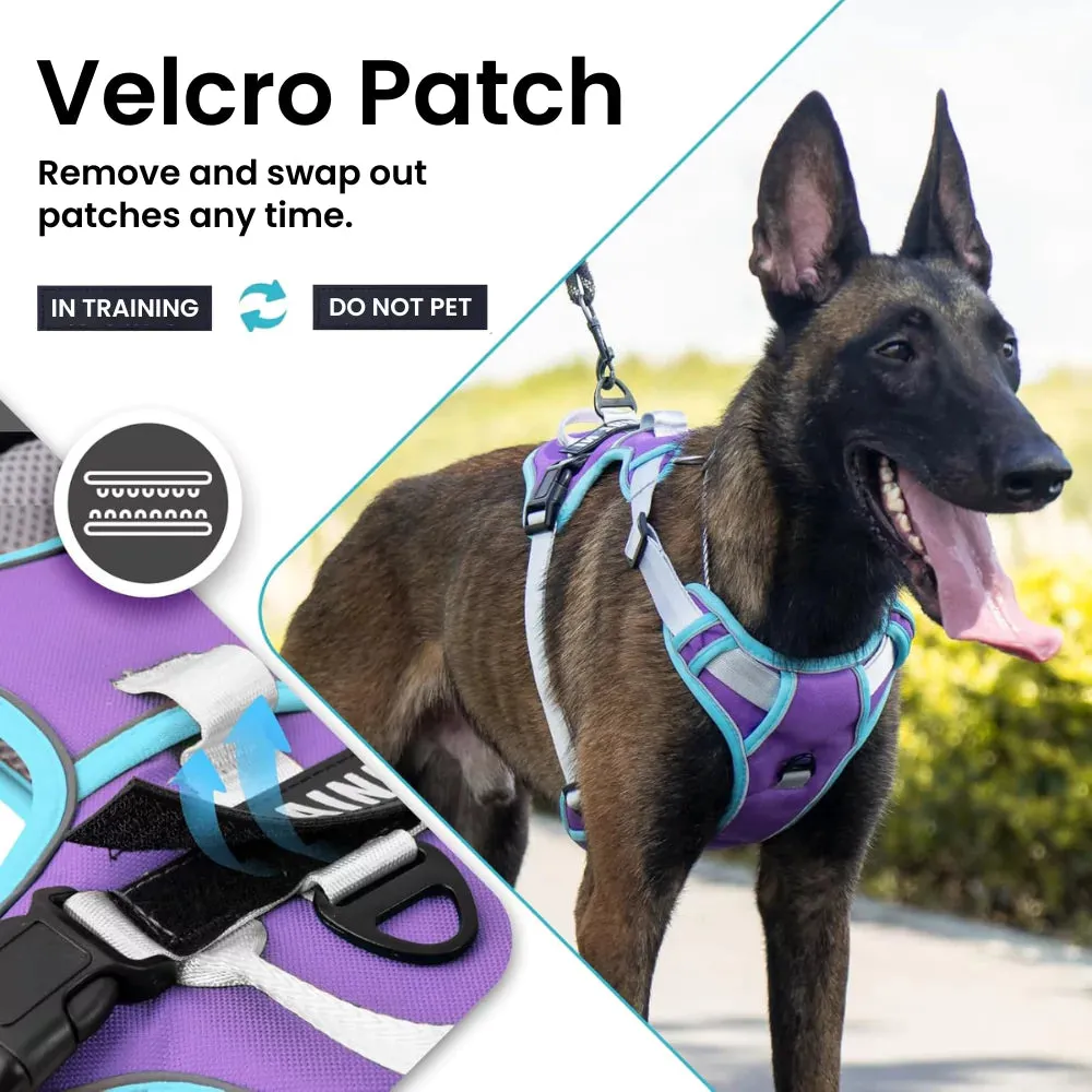 Red Custom Canine Dog Y Harness | 2TLE