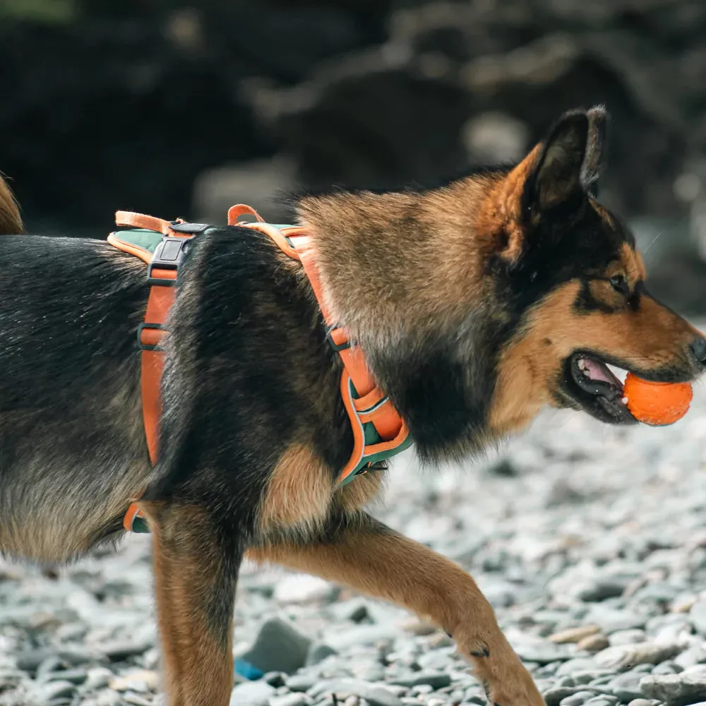 Red Custom Canine Dog Y Harness | 2TLE