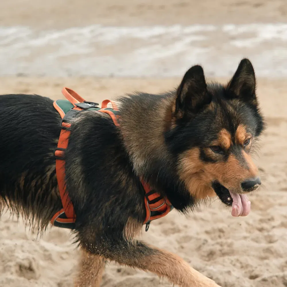 Red Custom Canine Dog Y Harness | 2TLE