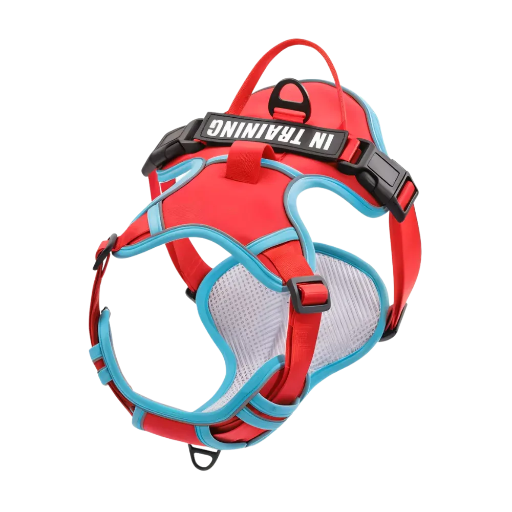 Red Custom Canine Dog Y Harness | 2TLE