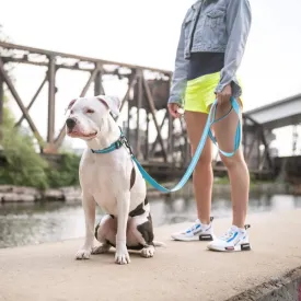 Reflective Dog Collar