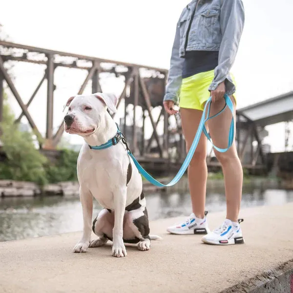 Reflective Dog Collar