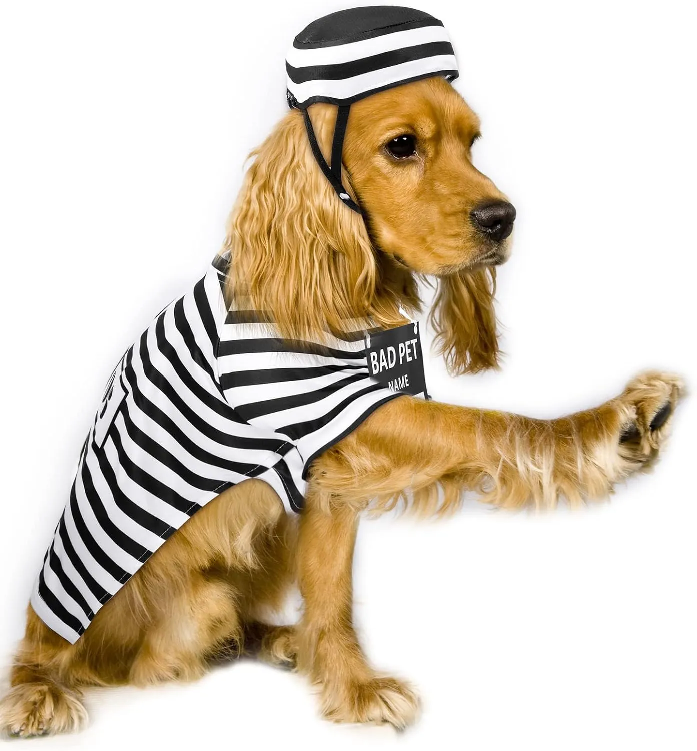 Shihanee Funny Dog Prisoner Costumes Halloween Prison Pooch Shirts Washable Dog Hat and Card for Halloween Puppy Pet(X-Small)