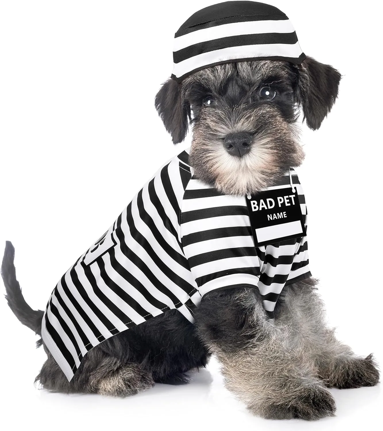 Shihanee Funny Dog Prisoner Costumes Halloween Prison Pooch Shirts Washable Dog Hat and Card for Halloween Puppy Pet(X-Small)