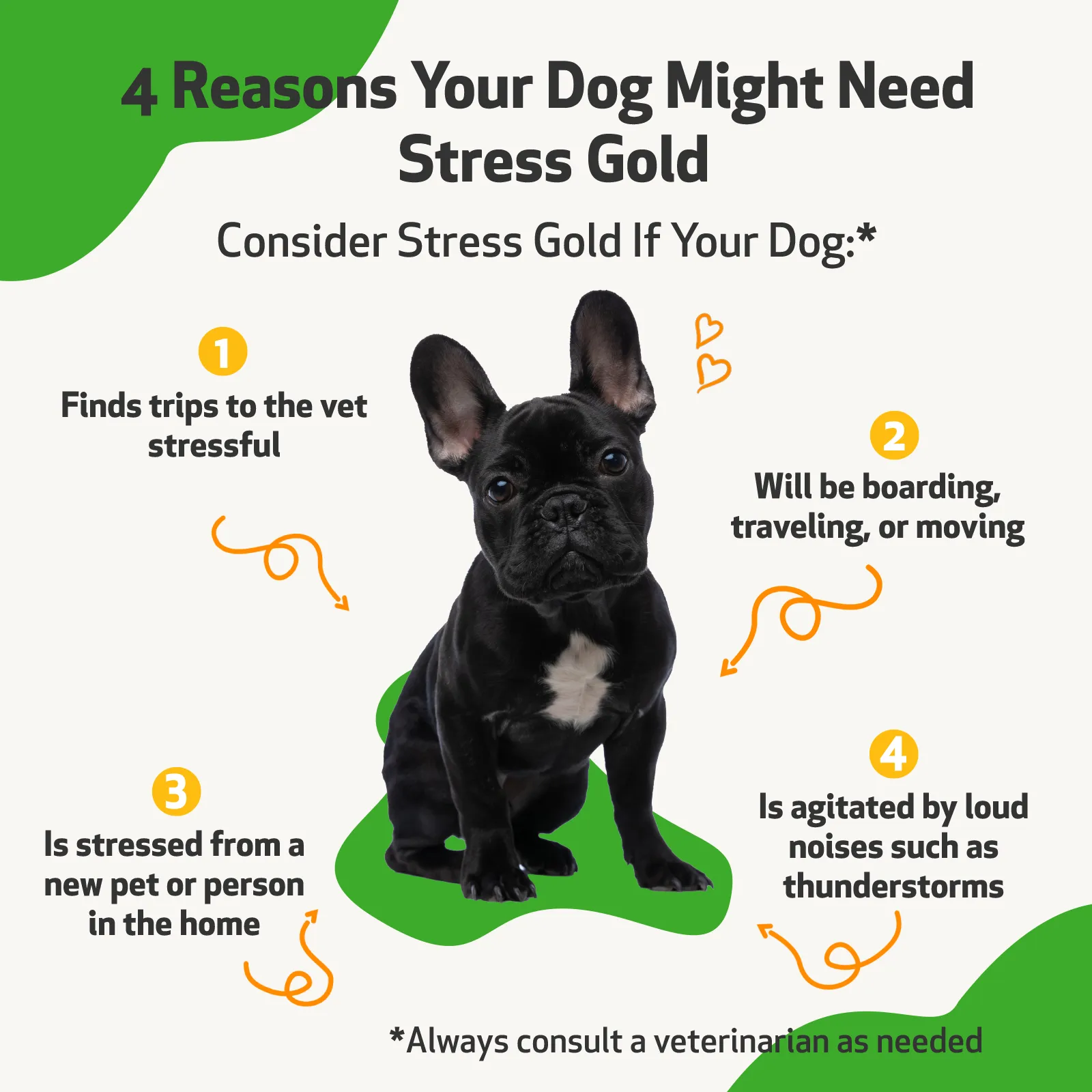 Stress Gold - for Occasional Moments of High Stress in Dogs