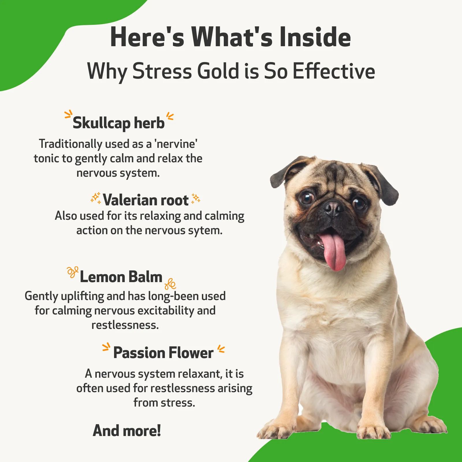 Stress Gold - for Occasional Moments of High Stress in Dogs