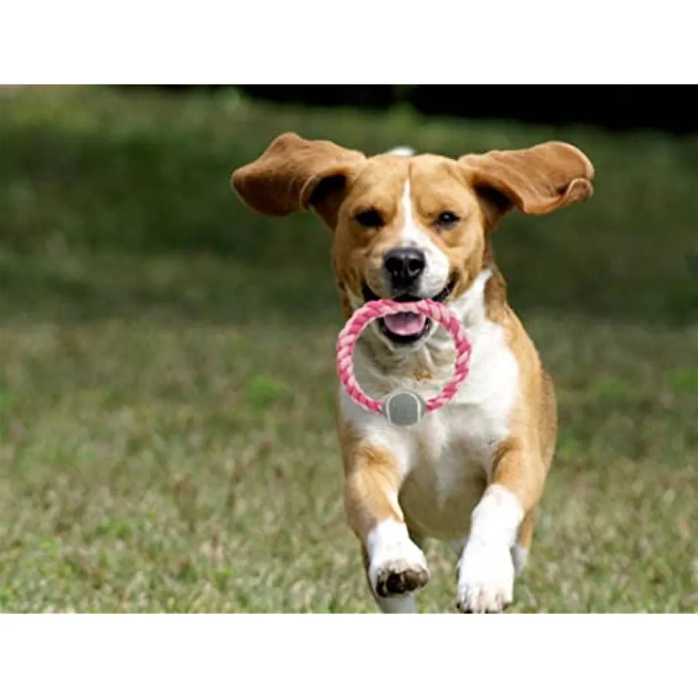 Trixie Rope Ring with Tennis Ball Toy for Dogs (Grey)