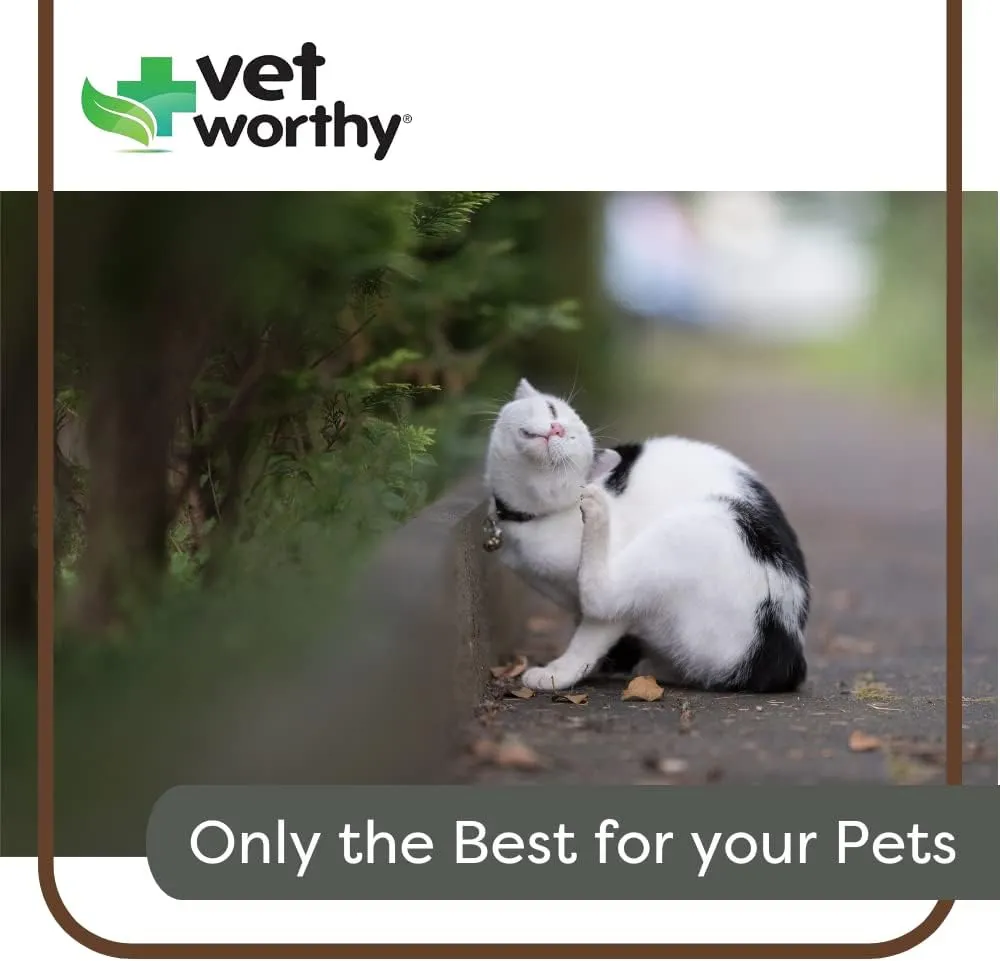 Vet Worthy Pet Hemostat